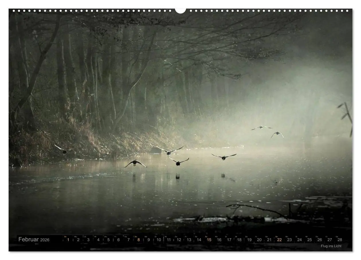 Bild: 9783516093452 | Traumlandschaften 2026 (Wandkalender 2026 DIN A2 quer), CALVENDO...