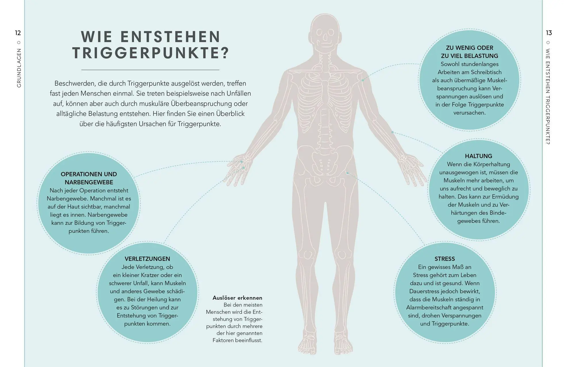 Bild: 9783831053452 | Triggerpunkte | Amanda Oswald | Buch | 144 S. | Deutsch | 2026