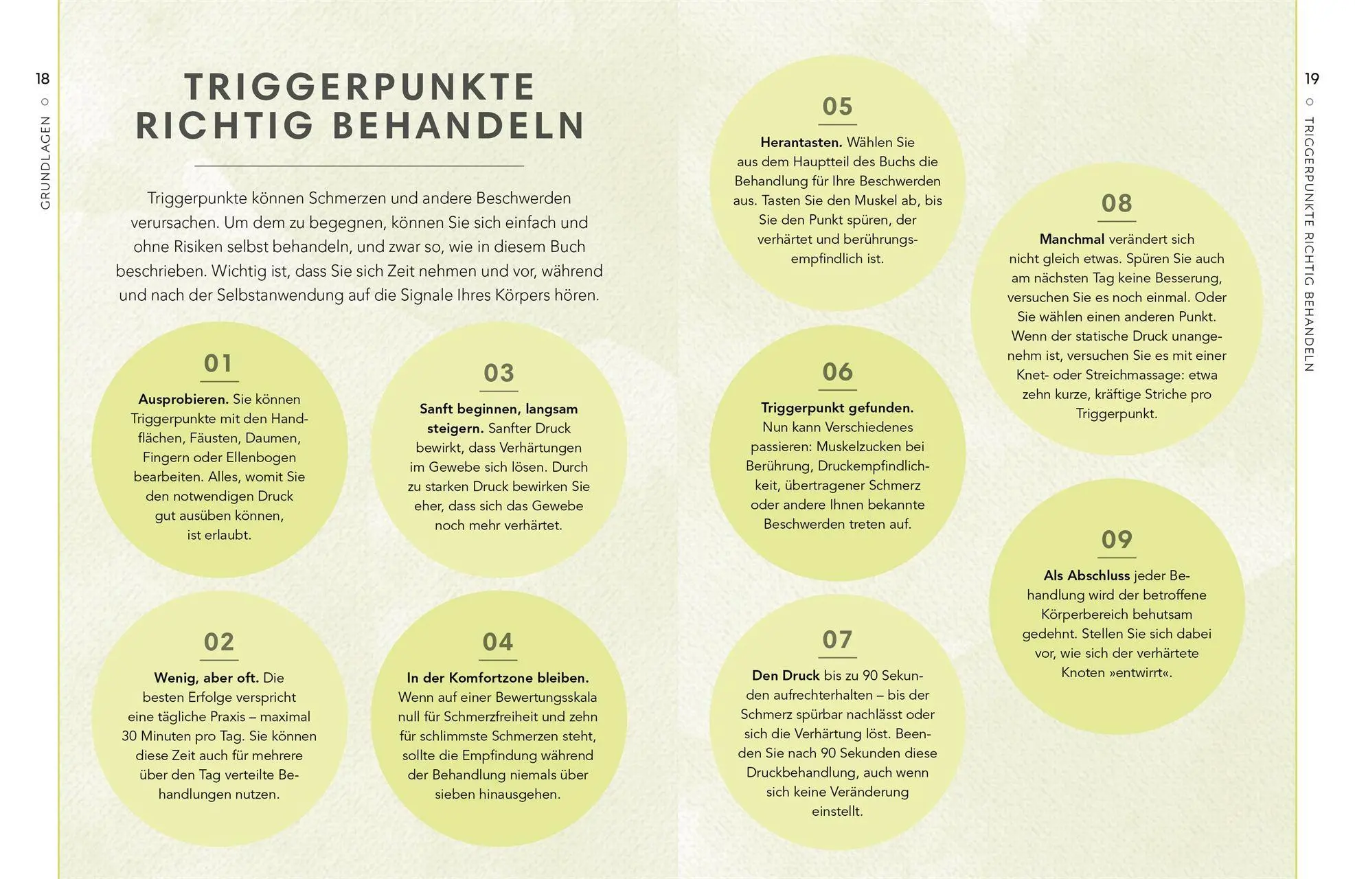 Bild: 9783831053452 | Triggerpunkte | Amanda Oswald | Buch | 144 S. | Deutsch | 2026