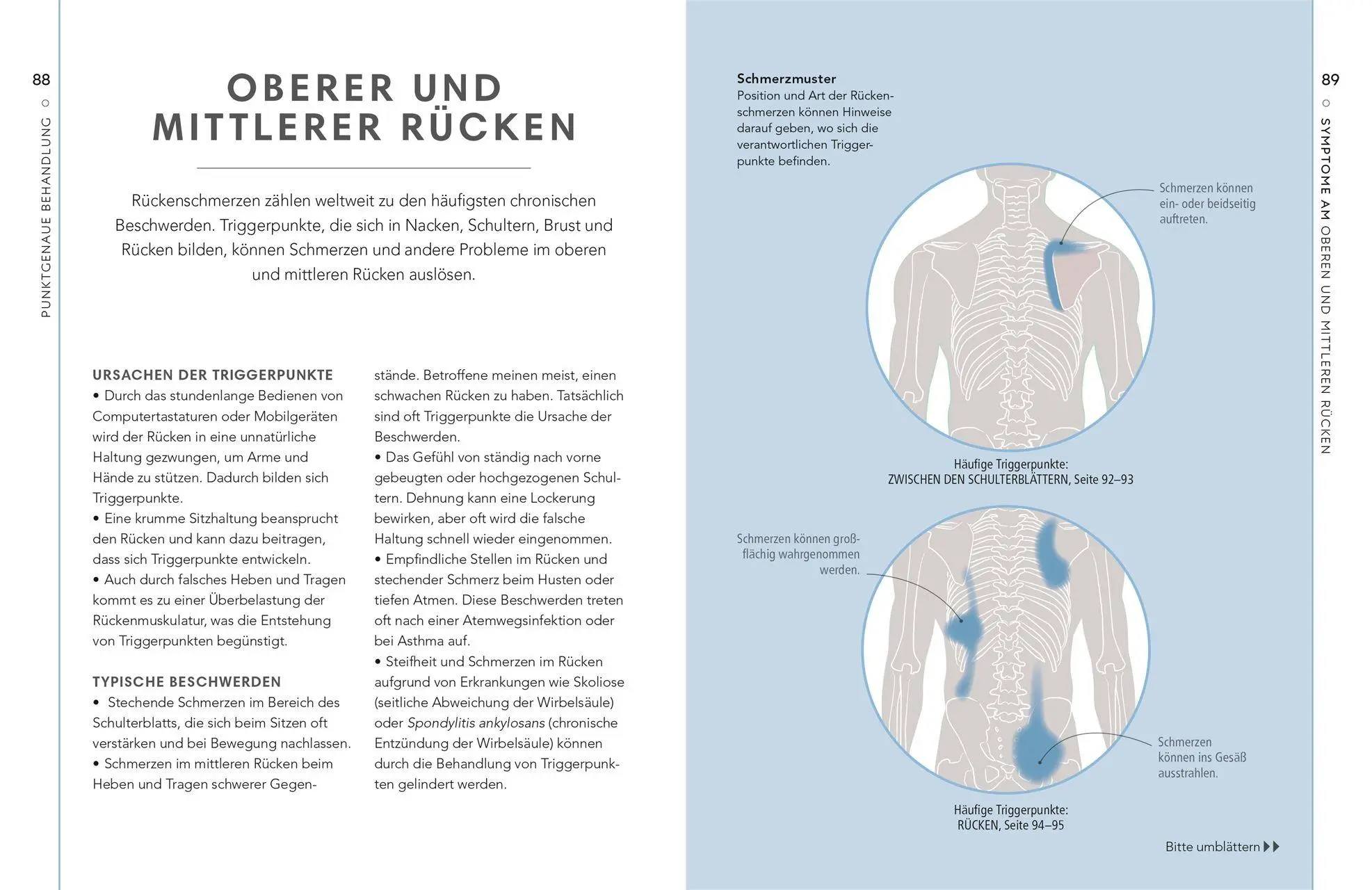 Bild: 9783831053452 | Triggerpunkte | Amanda Oswald | Buch | 144 S. | Deutsch | 2026