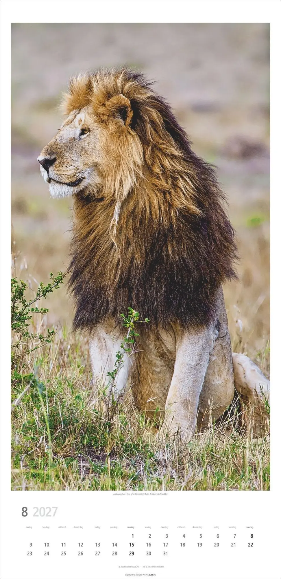 Bild: 9783839903452 | Big Cats Kalender 2027 | Kalender | Tierkalender Weingarten | 14 S.