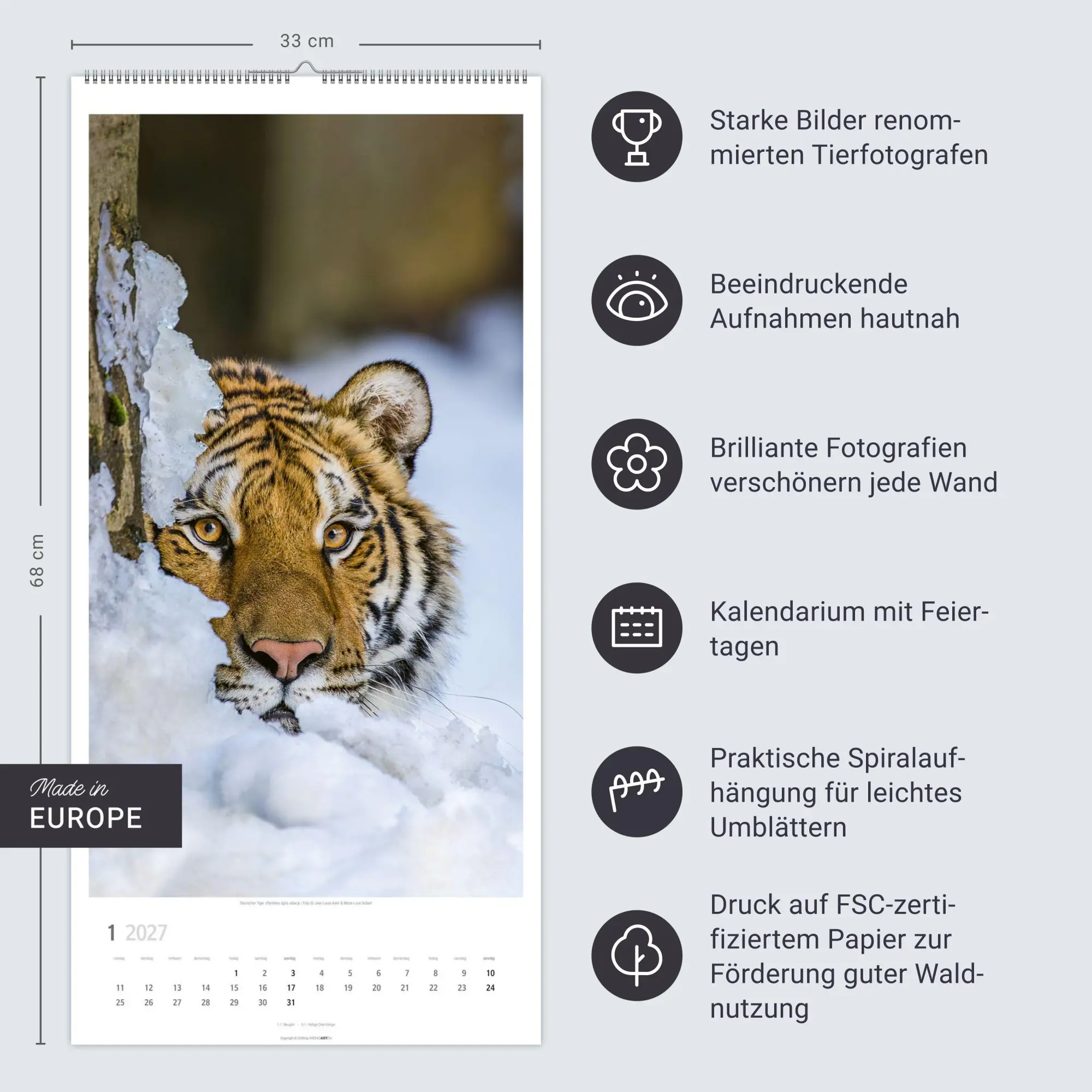 Bild: 9783839903452 | Big Cats Kalender 2027 | Kalender | Tierkalender Weingarten | 14 S.