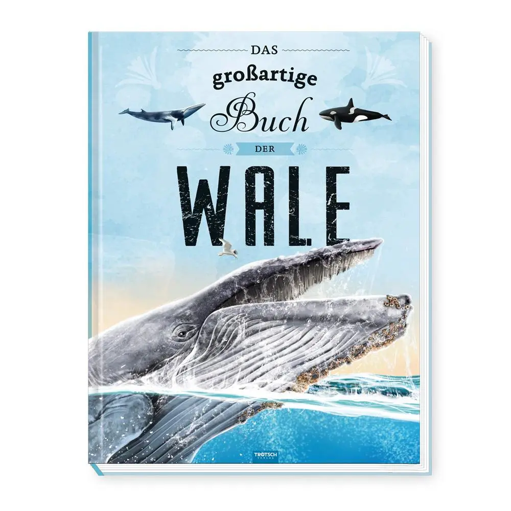 Cover: 9783988023452 | Trötsch Kinderbuch Das großartige Buch der Wale | KG | Buch | 84 S.