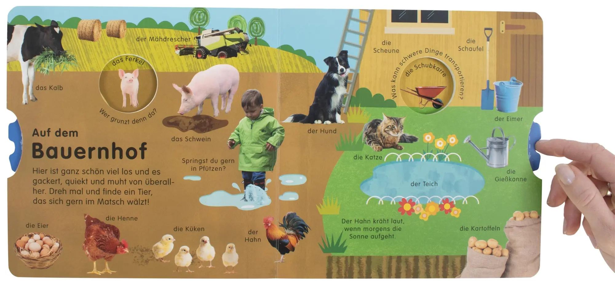 Bild: 9783831043552 | Erstes Lernen Drehen. Meine ersten Wörter | DK Verlag - Kids | Buch