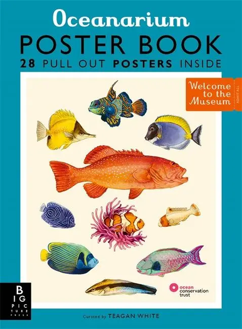 Cover: 9781800783652 | Oceanarium Poster Book | Loveday Trinick | Taschenbuch | Englisch