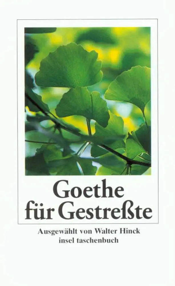 Cover: 9783458343752 | Goethe für Gestreßte | Johann Wolfgang von Goethe | Taschenbuch | 2000