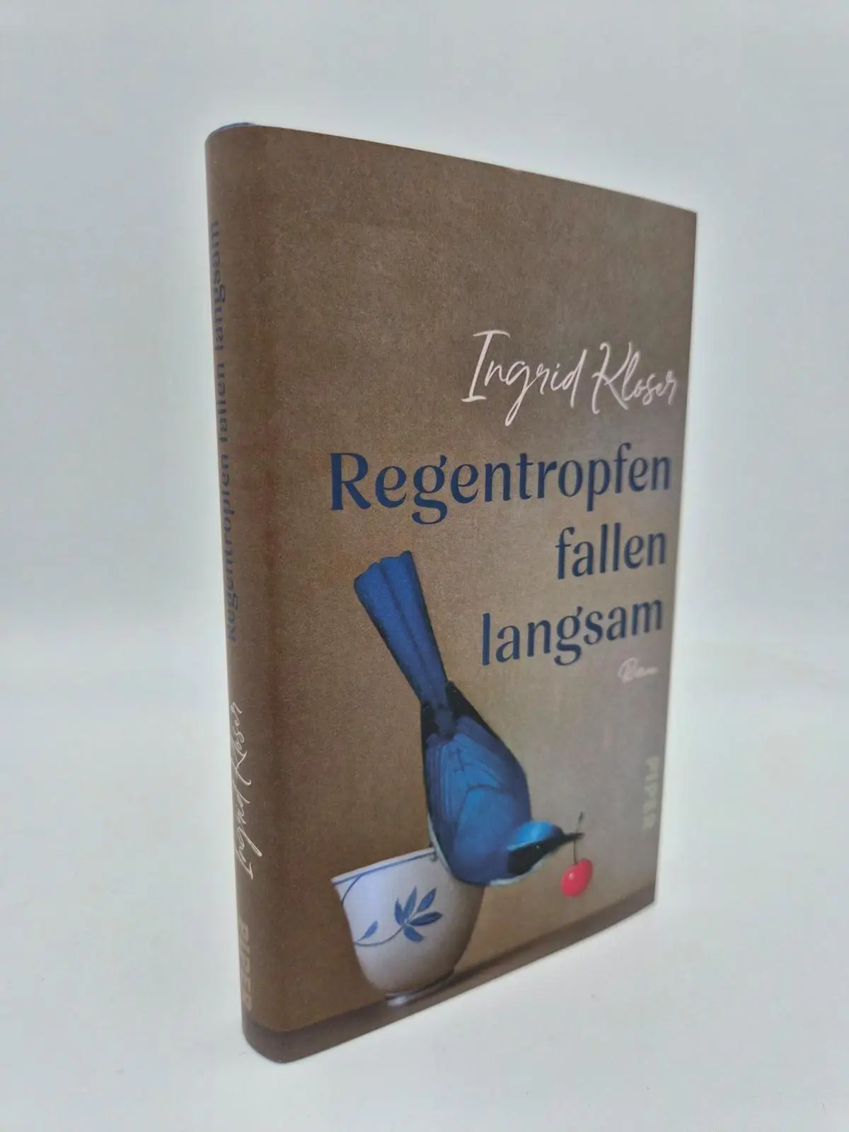 Bild: 9783492073752 | Regentropfen fallen langsam | Ingrid Kloser | Buch | 192 S. | Deutsch
