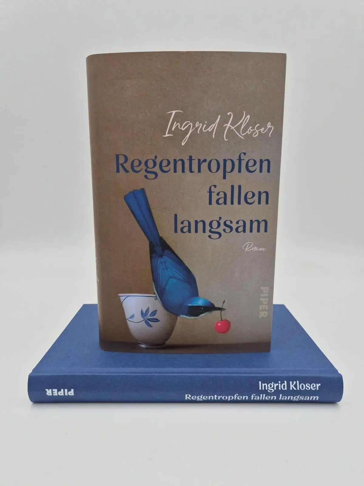 Bild: 9783492073752 | Regentropfen fallen langsam | Ingrid Kloser | Buch | 192 S. | Deutsch