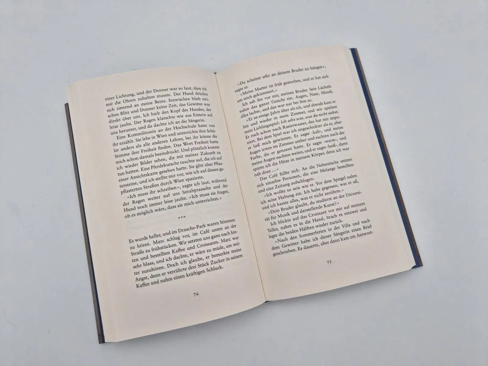 Bild: 9783492073752 | Regentropfen fallen langsam | Ingrid Kloser | Buch | 192 S. | Deutsch