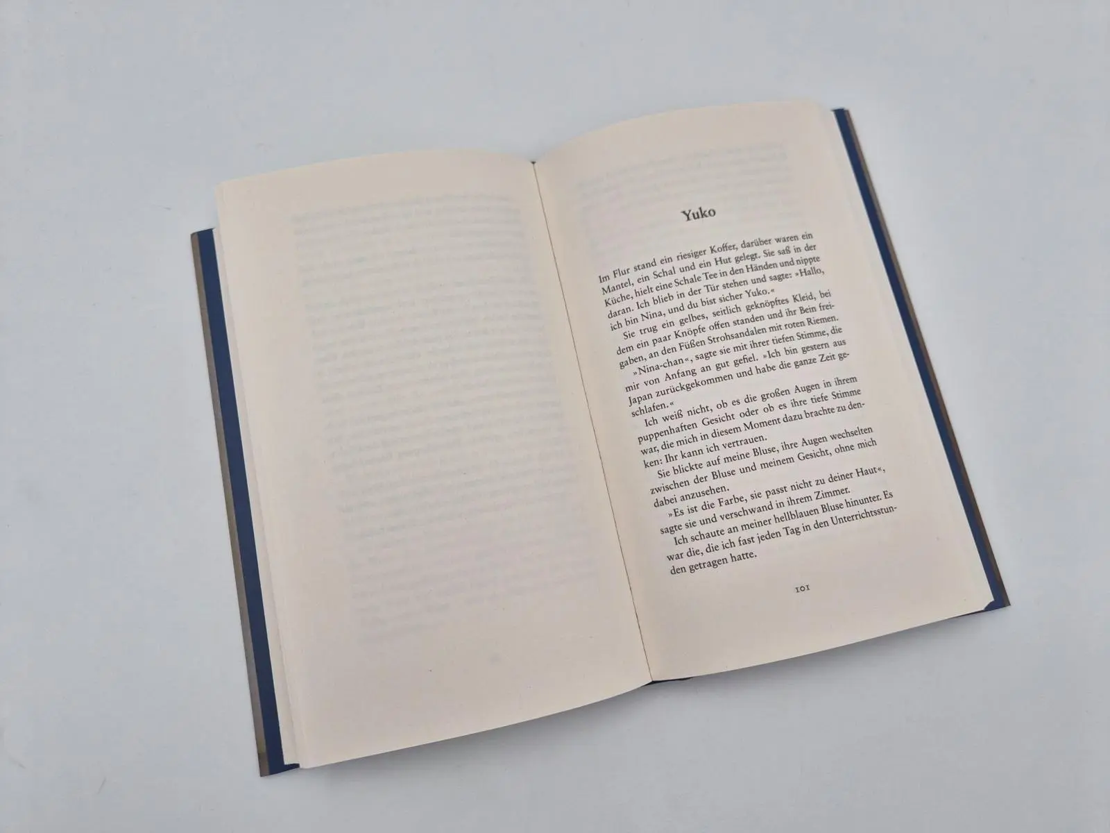 Bild: 9783492073752 | Regentropfen fallen langsam | Ingrid Kloser | Buch | 192 S. | Deutsch