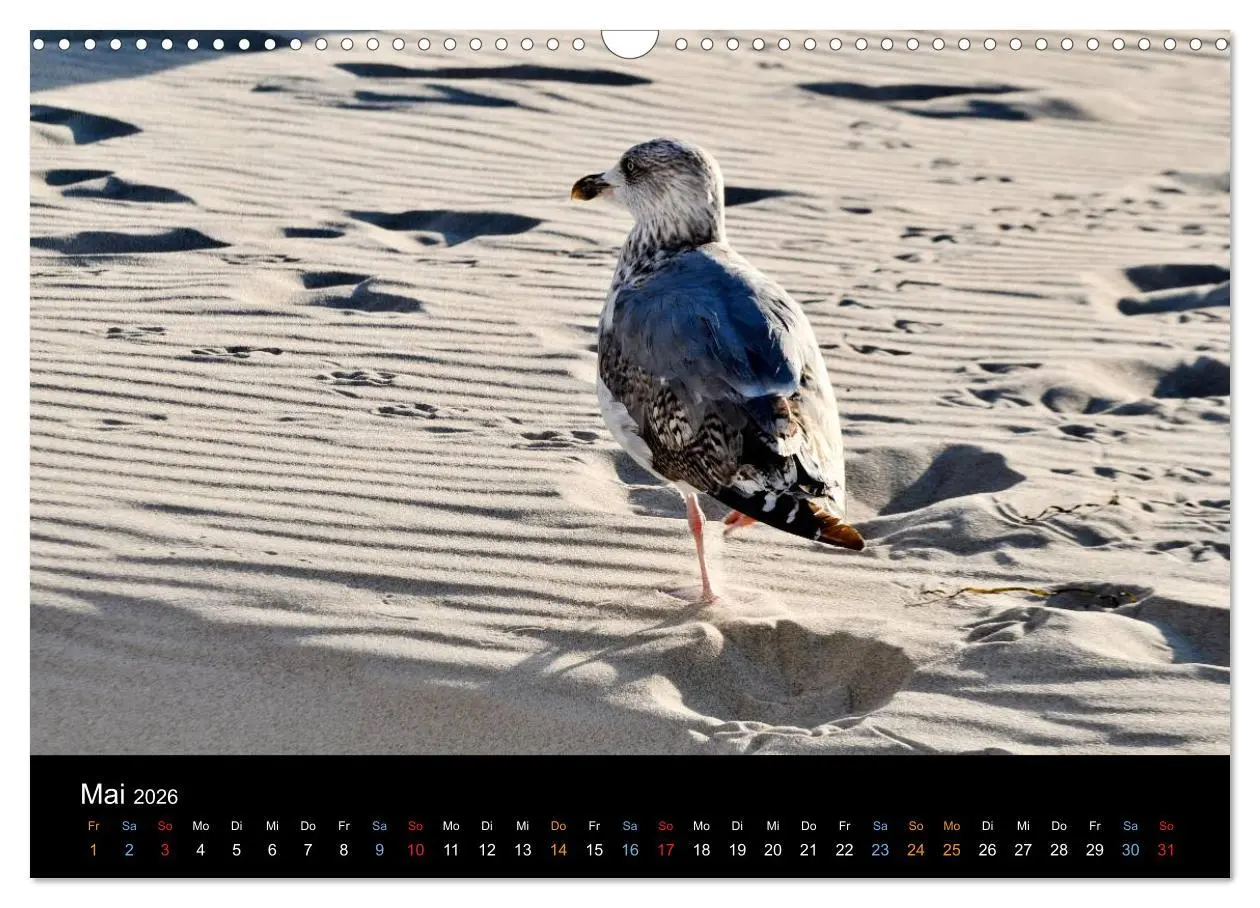 Bild: 9783516133752 | Warnemünde - Maritime Landschaften (Wandkalender 2026 DIN A3 quer),...