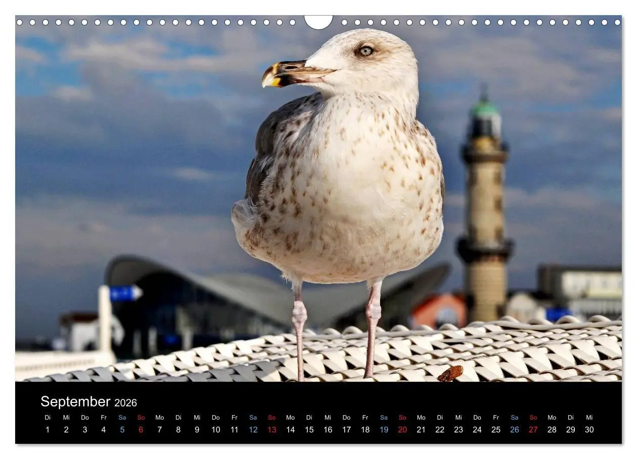 Bild: 9783516133752 | Warnemünde - Maritime Landschaften (Wandkalender 2026 DIN A3 quer),...