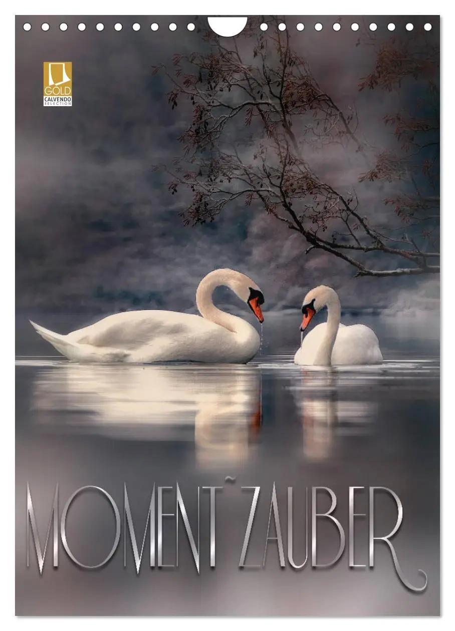 Cover: 9783516373752 | Moment Zauber (Wandkalender 2026 DIN A4 hoch), CALVENDO Monatskalender