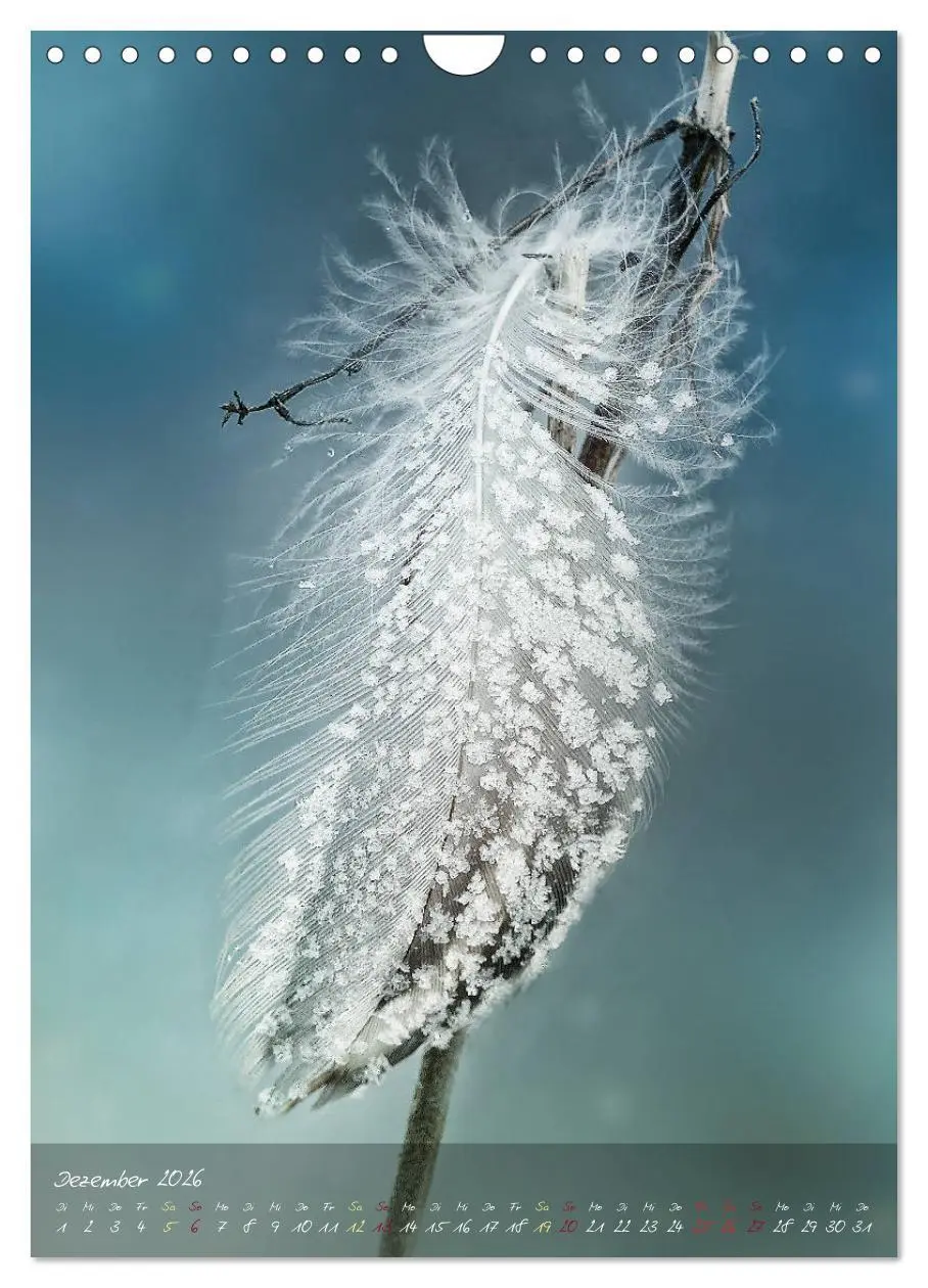 Bild: 9783516373752 | Moment Zauber (Wandkalender 2026 DIN A4 hoch), CALVENDO Monatskalender