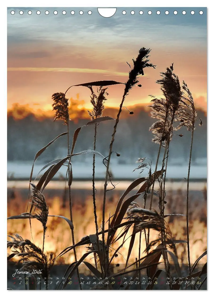 Bild: 9783516373752 | Moment Zauber (Wandkalender 2026 DIN A4 hoch), CALVENDO Monatskalender