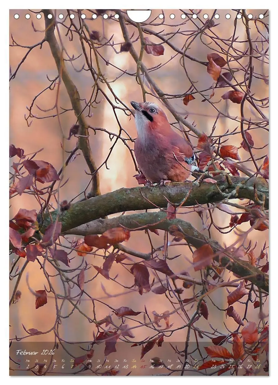 Bild: 9783516373752 | Moment Zauber (Wandkalender 2026 DIN A4 hoch), CALVENDO Monatskalender