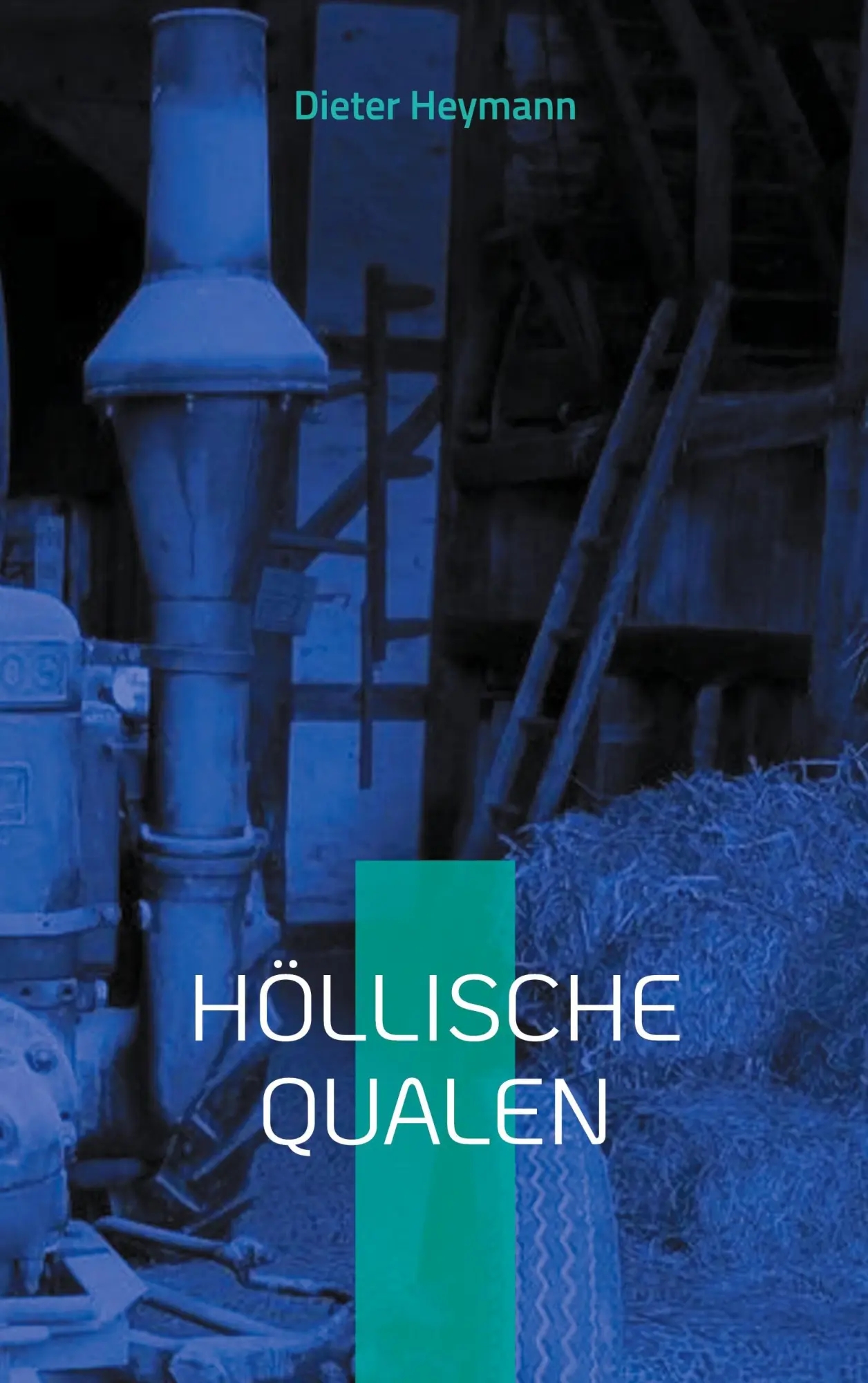 Cover: 9783819243752 | Höllische Qualen | Dieter Heymann | Taschenbuch | Martin-Voß-Reihe