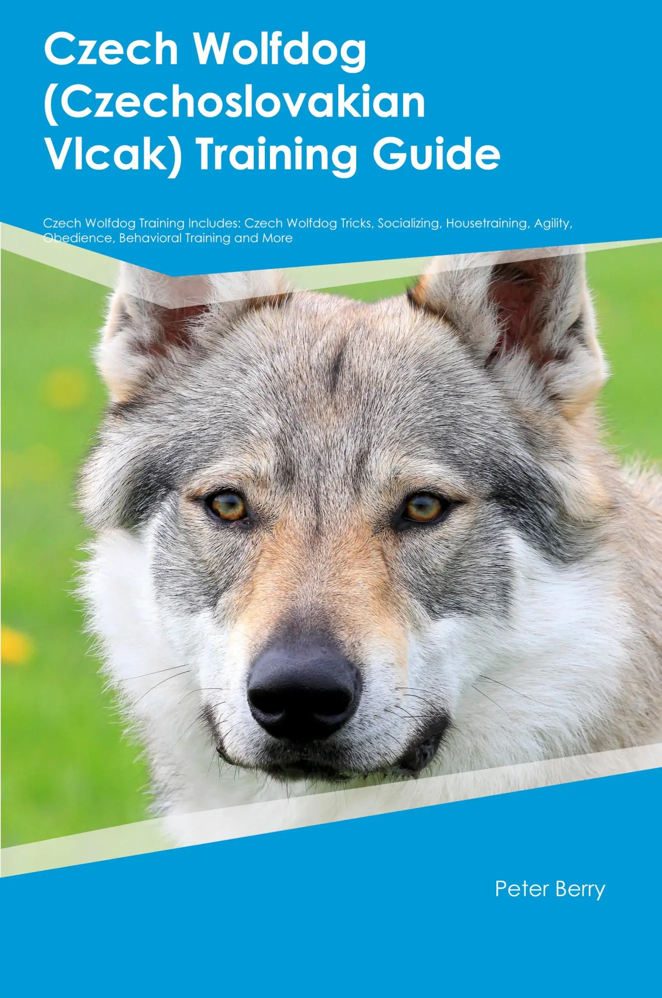 Cover: 9781395863852 | Czech Wolfdog (Czechoslovakian Vlcak) Training Guide Czech Wolfdog...