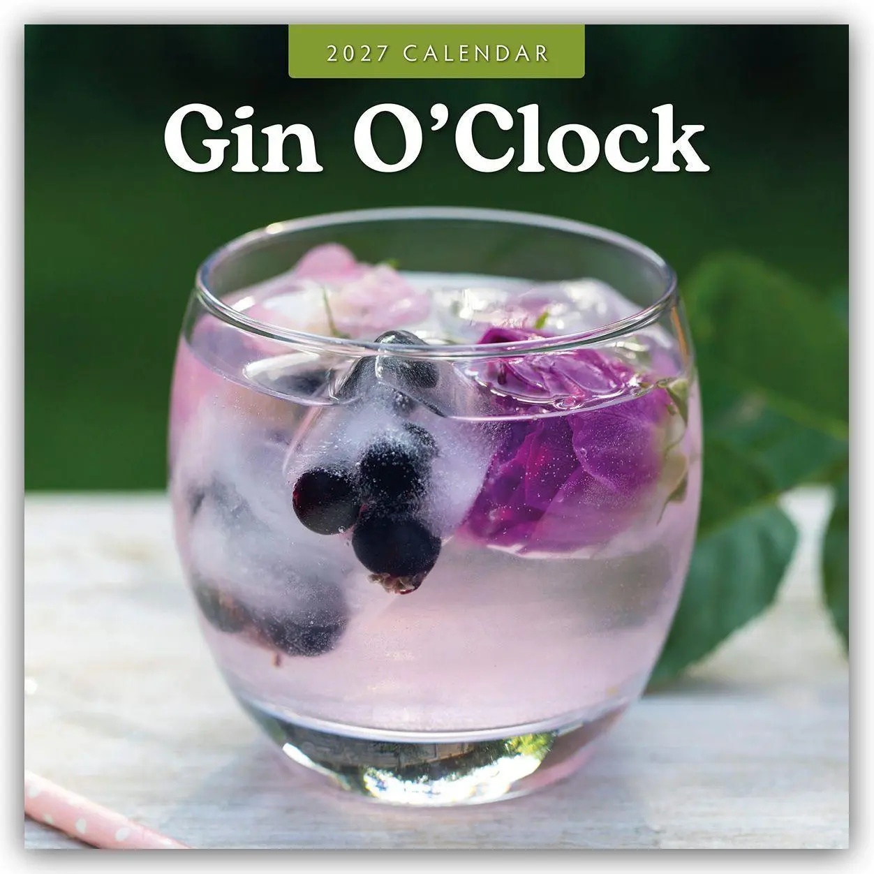 Cover: 9781837013852 | Gin o' Clock - Zeit für Gin 2027 - 16-Monatskalender | Robin Red
