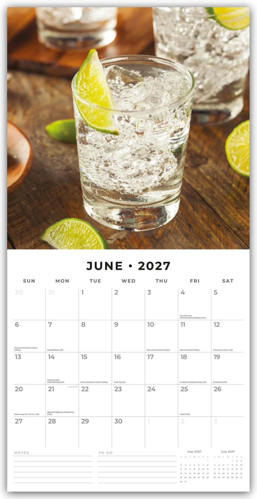 Bild: 9781837013852 | Gin o' Clock - Zeit für Gin 2027 - 16-Monatskalender | Robin Red