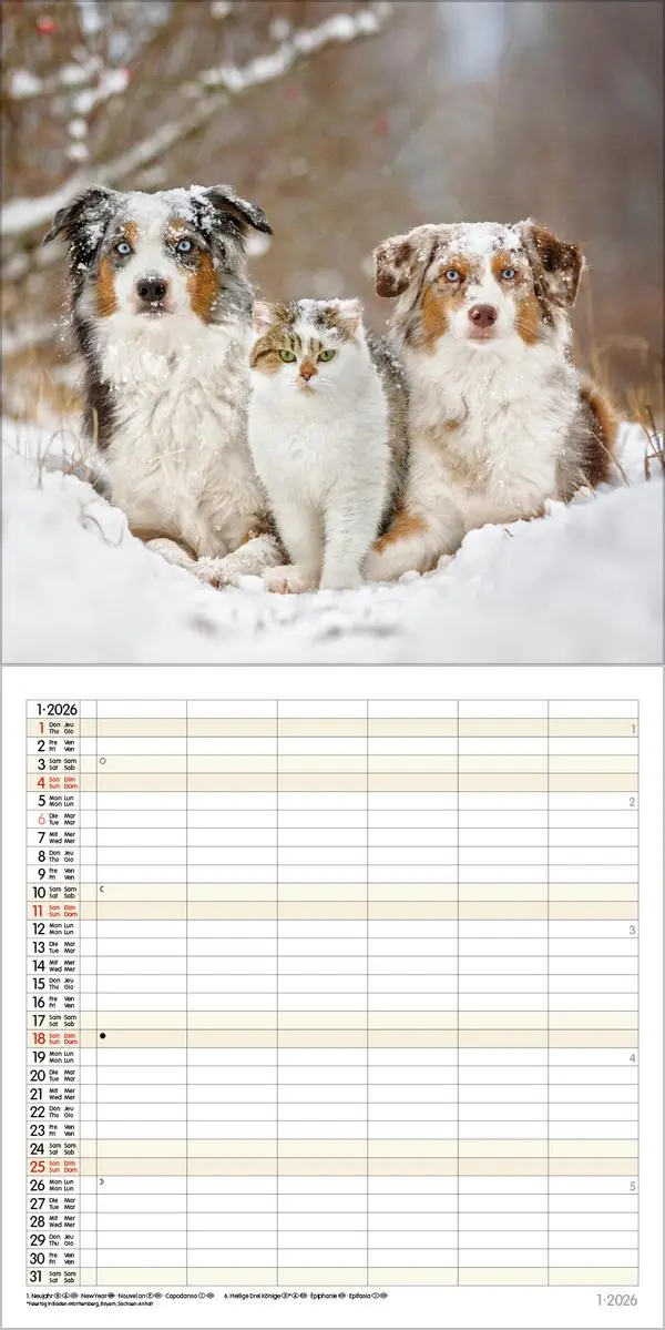 Bild: 9783731883852 | Tierfreundschaften - Familientimer 2026 | Verlag Korsch | Kalender