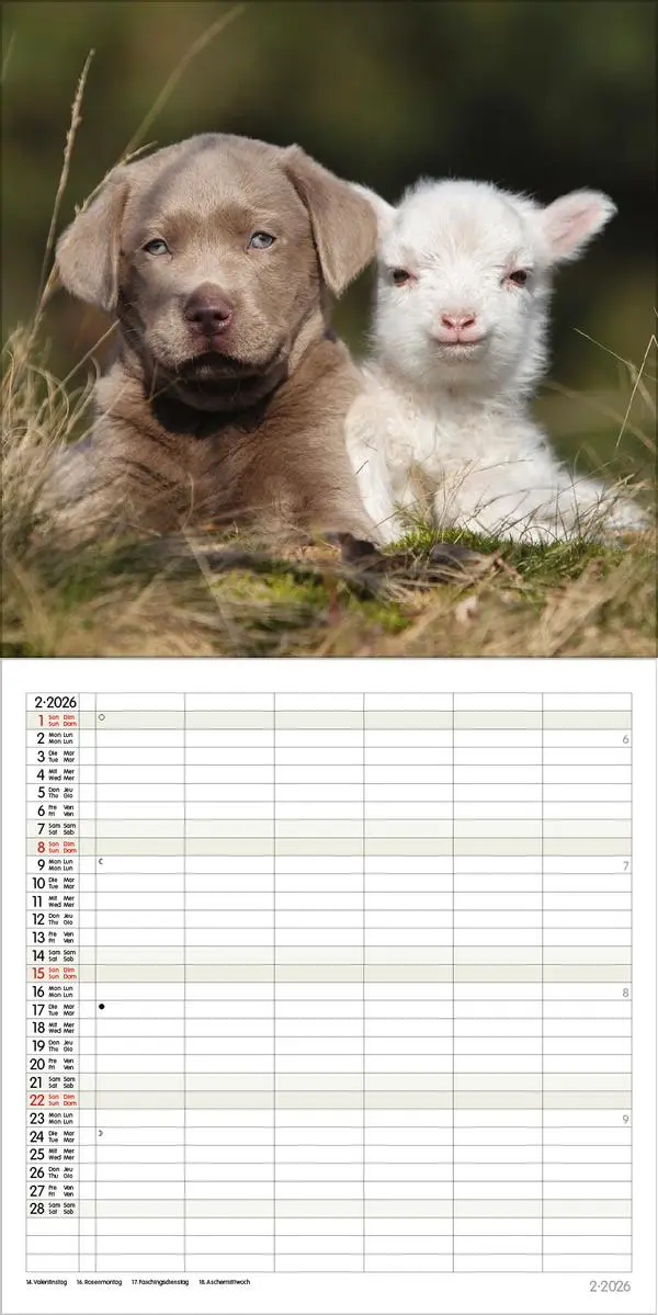 Bild: 9783731883852 | Tierfreundschaften - Familientimer 2026 | Verlag Korsch | Kalender
