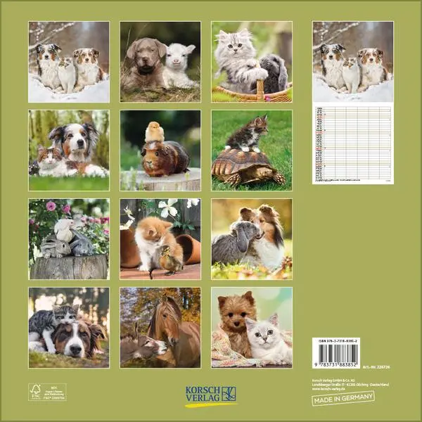 Bild: 9783731883852 | Tierfreundschaften - Familientimer 2026 | Verlag Korsch | Kalender