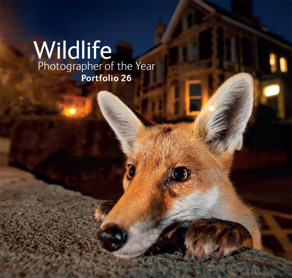 Wildlife Photographer of the Year: Portfolio 26 | Rosamund Kidman Cox | Buch | Englisch | 2016 | Quarto | EAN 9780565093952 - Cox, Rosamund Kidman