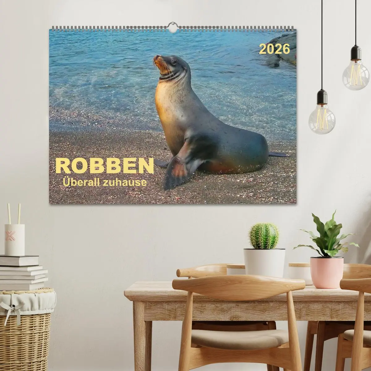 Bild: 9783516043952 | Robben - überall zuhause (Wandkalender 2026 DIN A2 quer), CALVENDO...