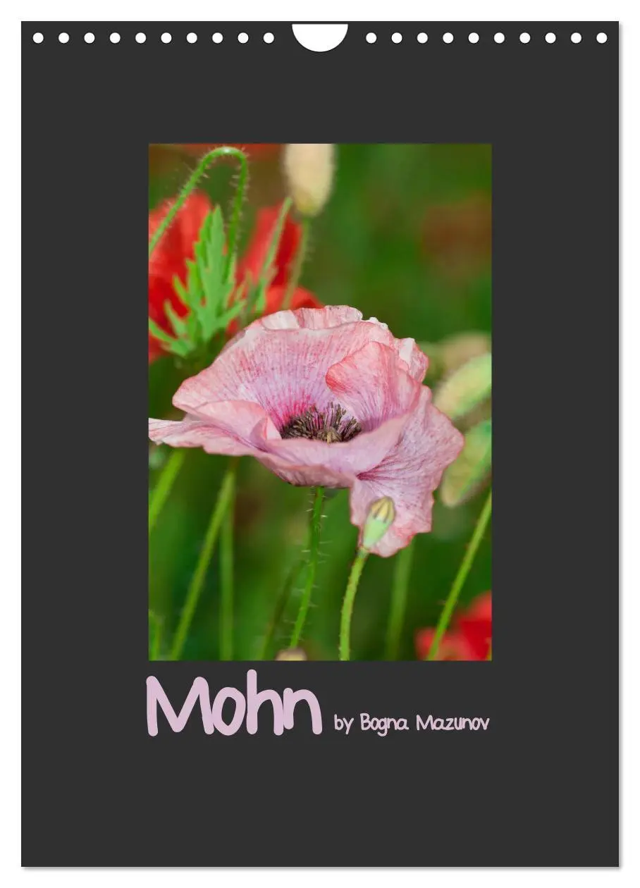 Cover: 9783516484052 | Mohn (Wandkalender 2026 DIN A4 hoch), CALVENDO Monatskalender | 2026