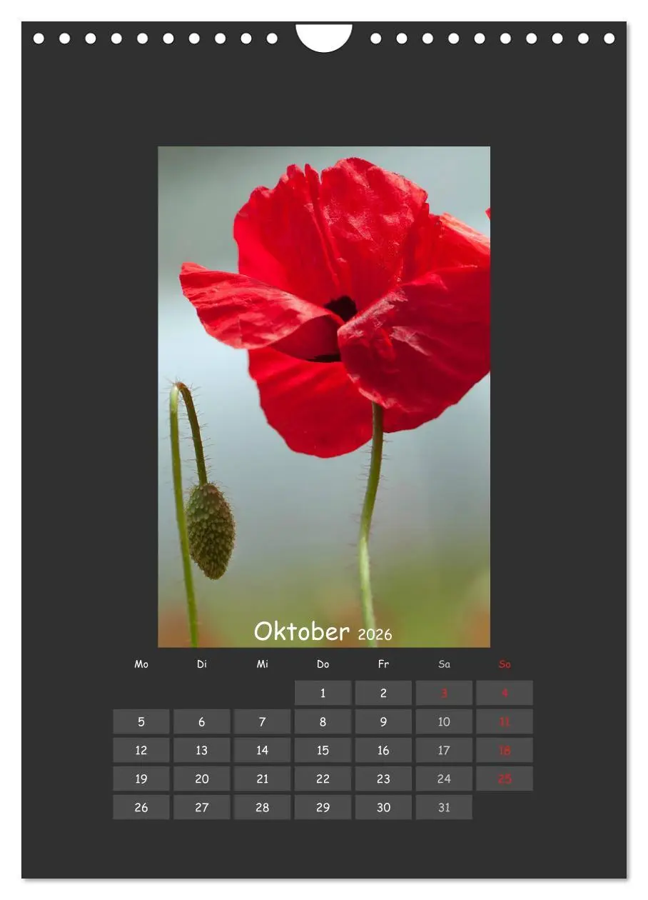 Bild: 9783516484052 | Mohn (Wandkalender 2026 DIN A4 hoch), CALVENDO Monatskalender | 2026