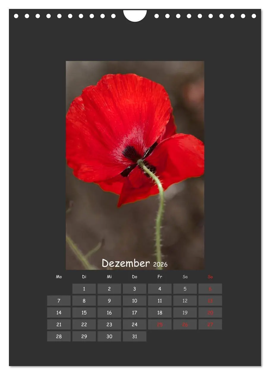 Bild: 9783516484052 | Mohn (Wandkalender 2026 DIN A4 hoch), CALVENDO Monatskalender | 2026