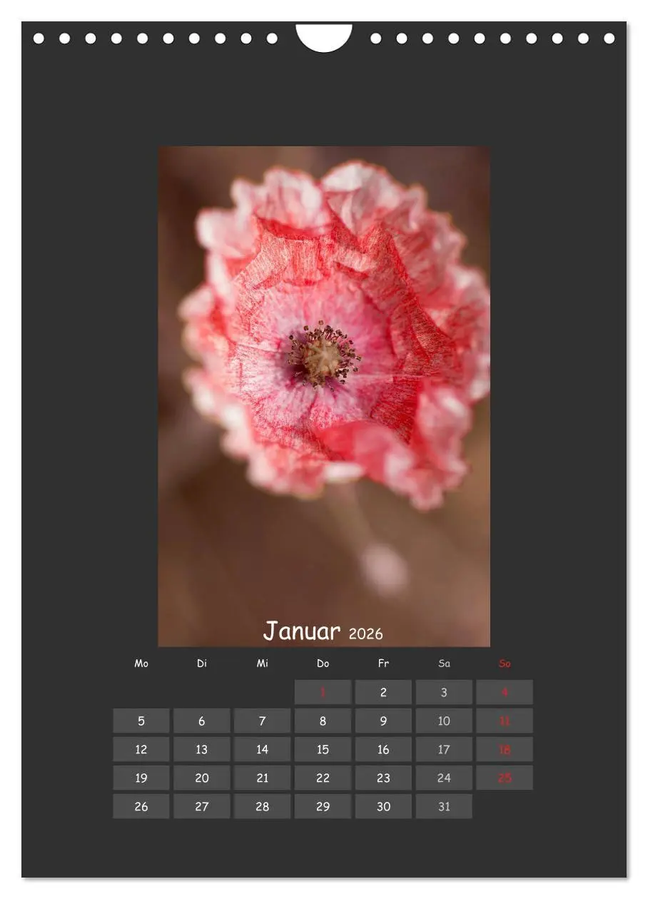 Bild: 9783516484052 | Mohn (Wandkalender 2026 DIN A4 hoch), CALVENDO Monatskalender | 2026