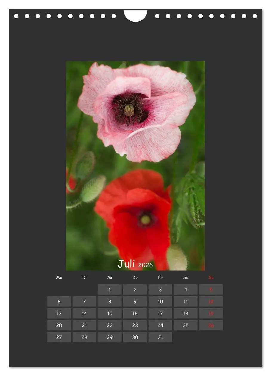 Bild: 9783516484052 | Mohn (Wandkalender 2026 DIN A4 hoch), CALVENDO Monatskalender | 2026
