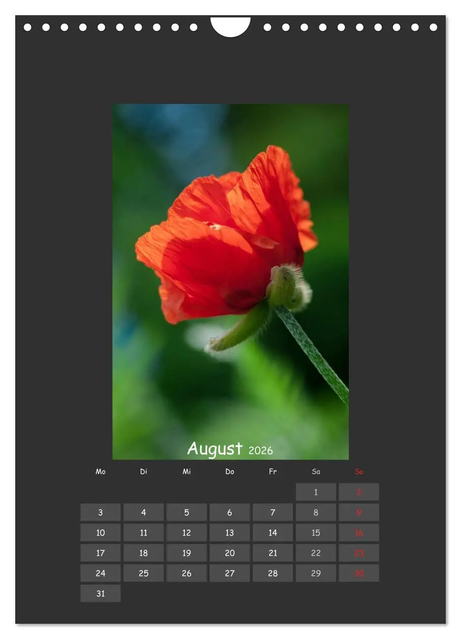 Bild: 9783516484052 | Mohn (Wandkalender 2026 DIN A4 hoch), CALVENDO Monatskalender | 2026