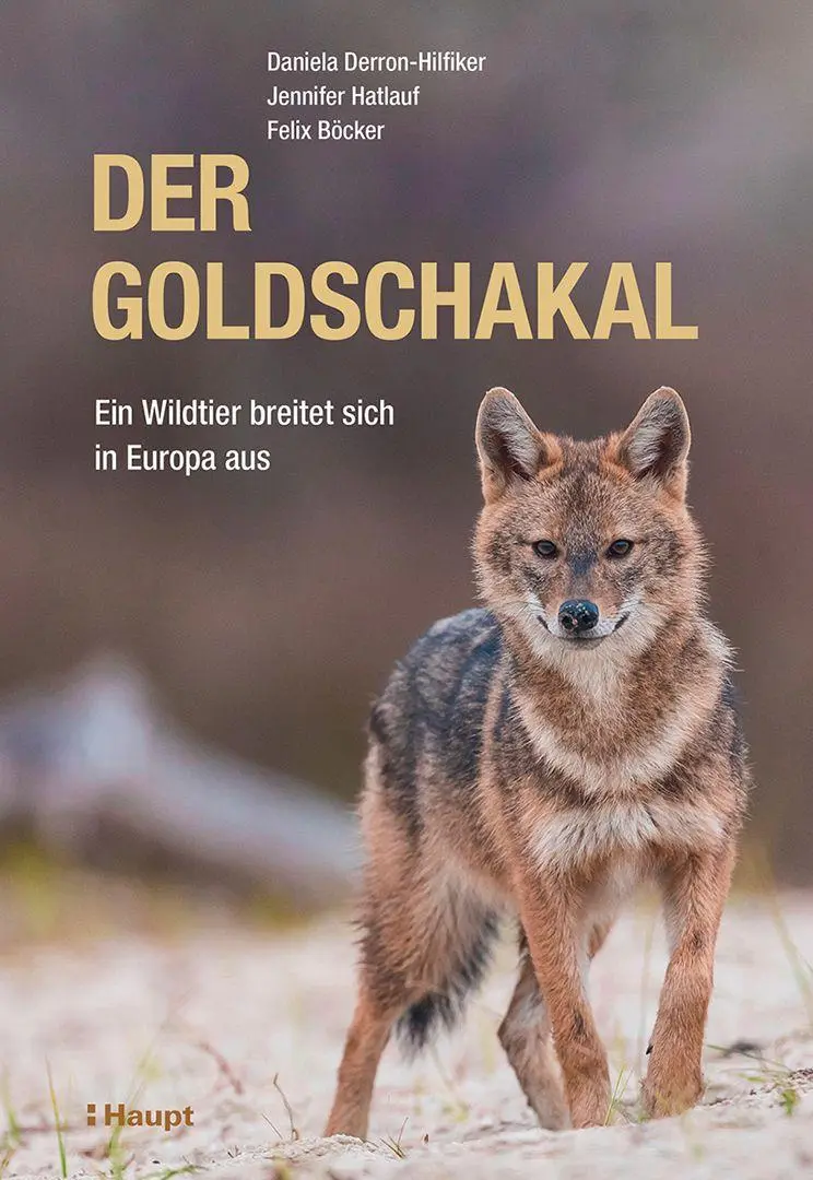 Cover: 9783258084152 | Der Goldschakal | Ein Wildtier breitet sich in Europa aus | Buch Cover: 9783258084152 | Der Goldschakal | Ein Wildtier breitet sich in Europa aus | Buch