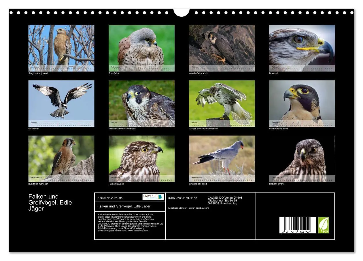 Bild: 9783516094152 | Falken und Greifvögel. Edle Jäger (Wandkalender 2026 DIN A3 quer),...