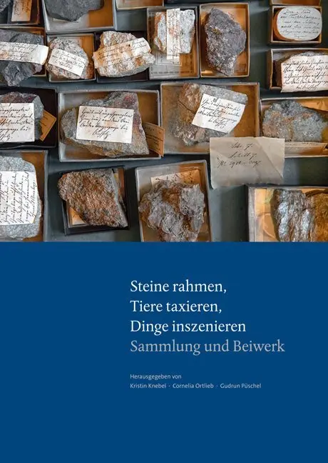 Cover: 9783954984152 | Steine rahmen, Tiere taxieren, Dinge inszenieren | Knebel (u. a.)