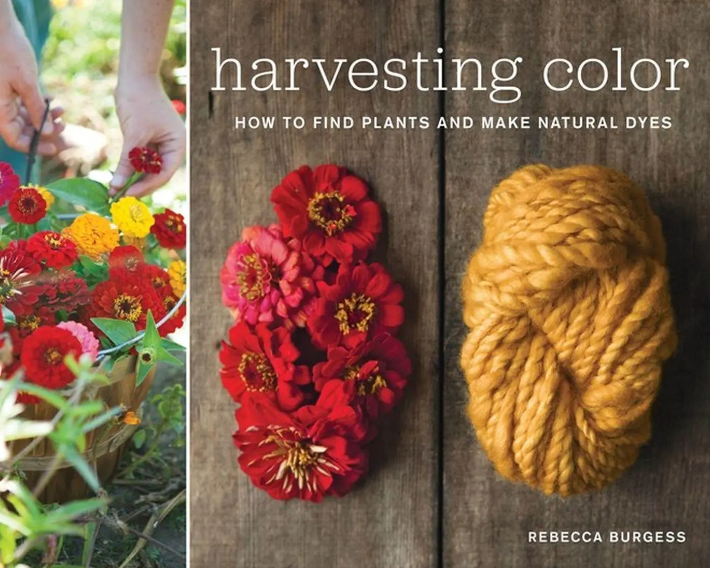 Cover: 9781579654252 | Harvesting Color | How to Find Plants and Make Natural Dyes | Burgess