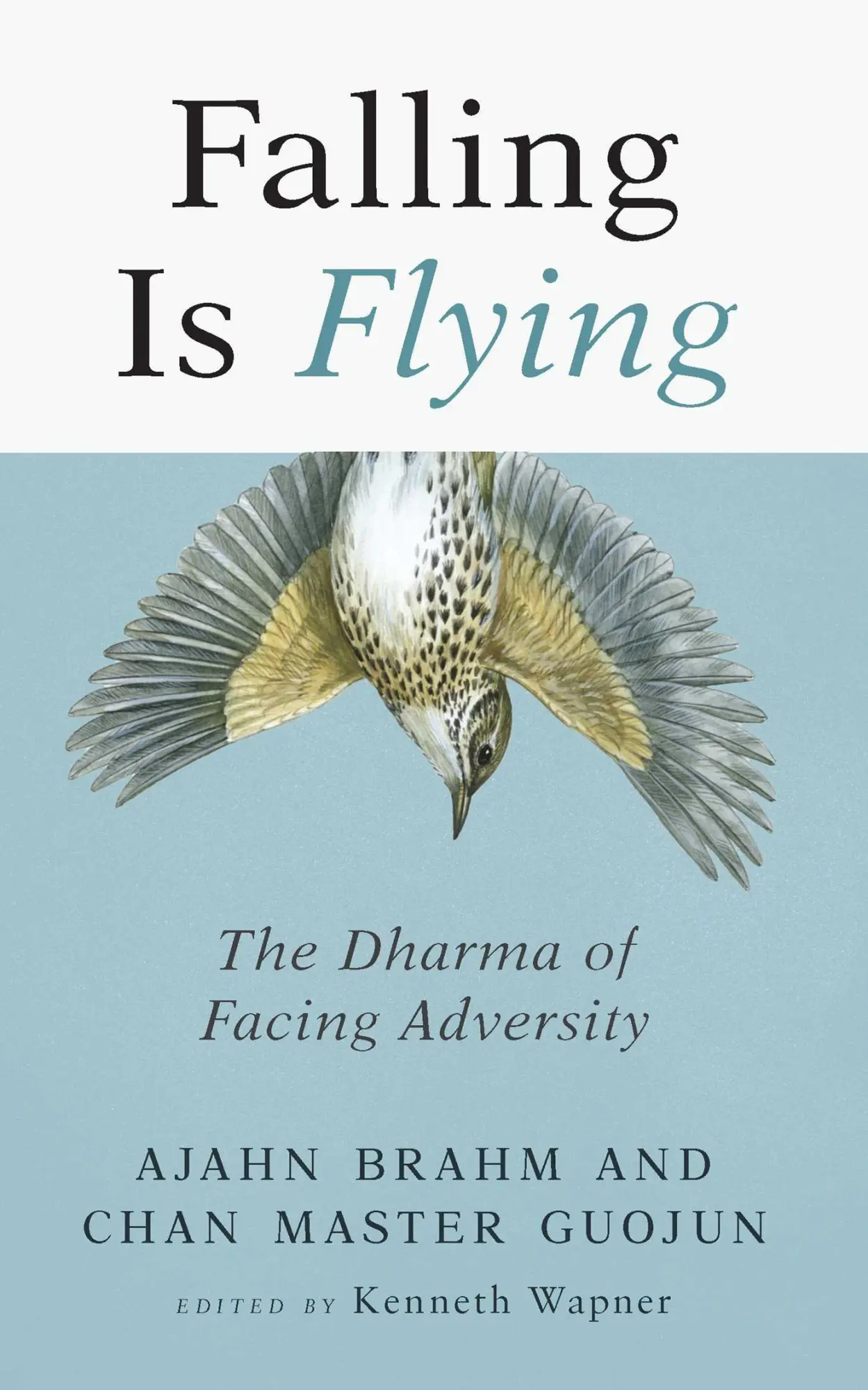 Cover: 9781614294252 | Falling Is Flying | The Dharma of Facing Adversity | Brahm (u. a.)