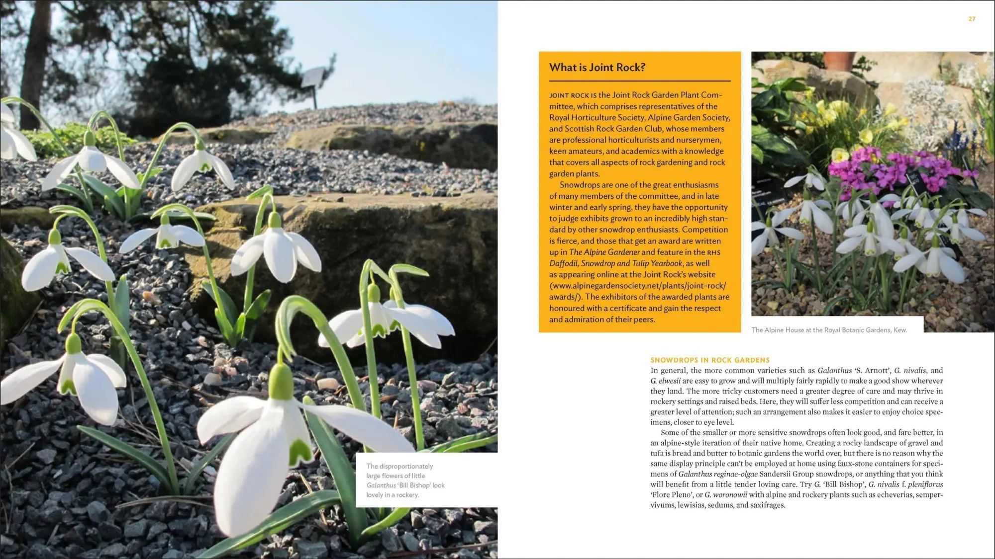 Bild: 9781604694352 | The Plant Lover's Guide to Snowdrops | Naomi Slade | Buch | Gebunden