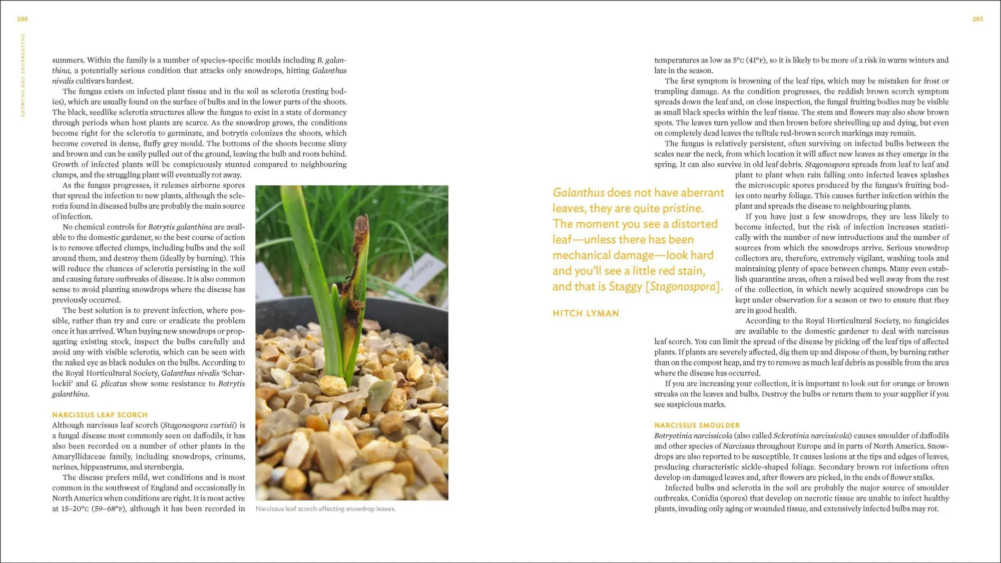 Bild: 9781604694352 | The Plant Lover's Guide to Snowdrops | Naomi Slade | Buch | Gebunden