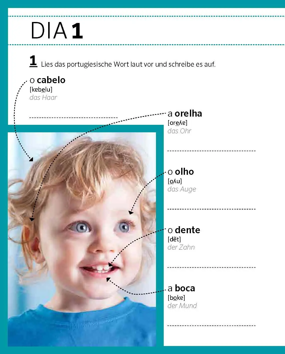 Bild: 9783125164352 | PONS Portugiesisch von 0 auf 500 | Taschenbuch | PONS Von 0 auf 500