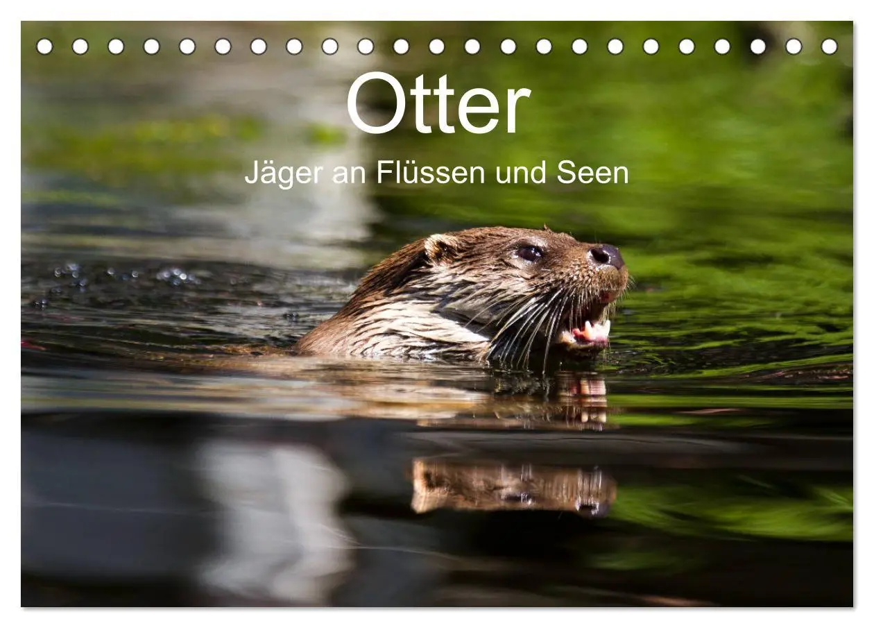 Cover: 9783457744352 | Otter - Jäger an Flüssen und Seen (Tischkalender 2026 DIN A5 quer),...