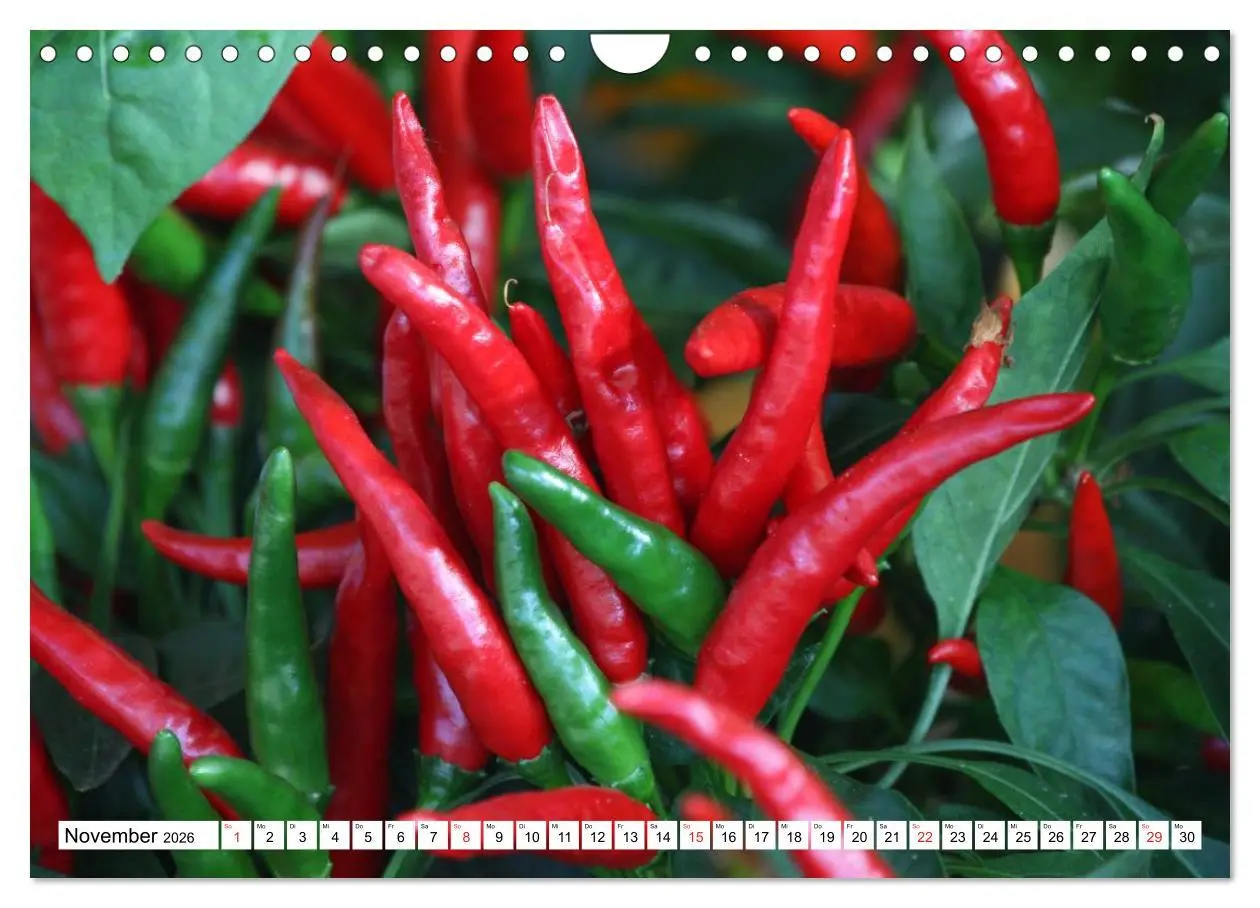 Bild: 9783457984352 | Für Chili Liebhaber (Wandkalender 2026 DIN A4 quer), CALVENDO...