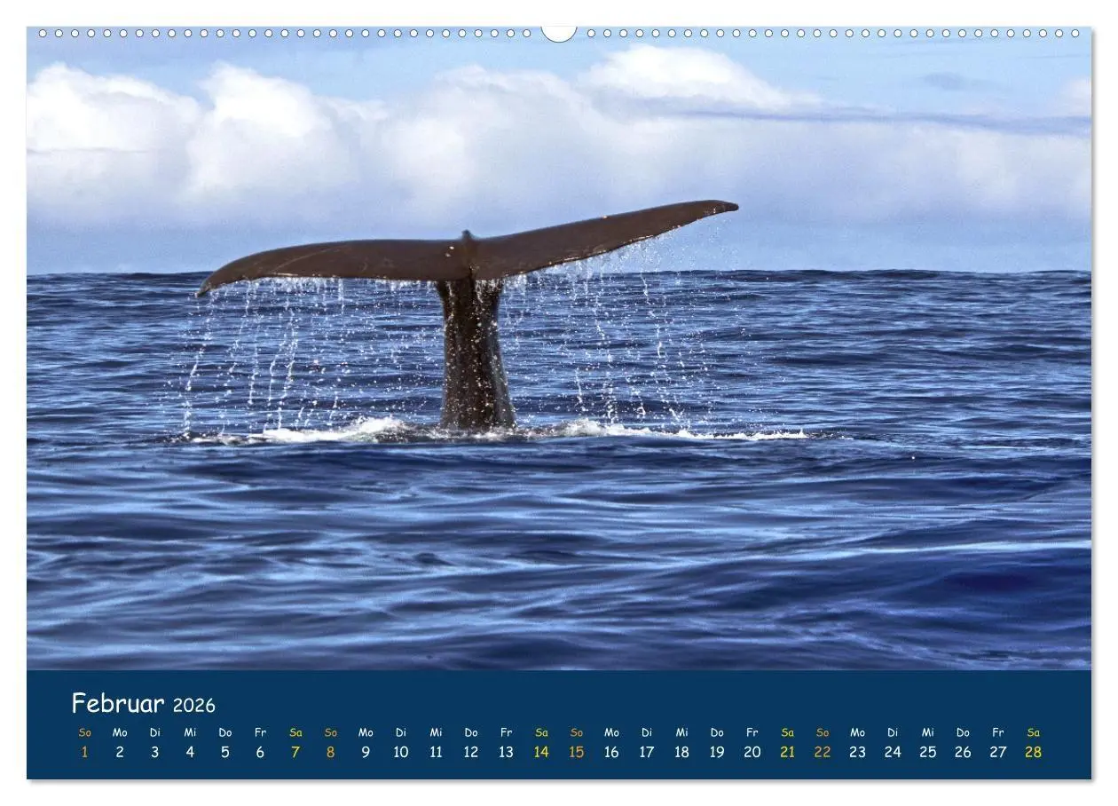 Bild: 9783516694352 | Faszinierende Tierwelt von Mauritius - Magische Momente der Natur...