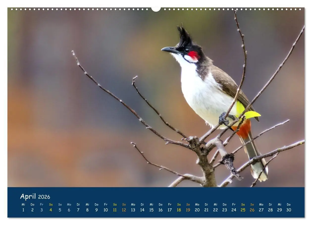 Bild: 9783516694352 | Faszinierende Tierwelt von Mauritius - Magische Momente der Natur...