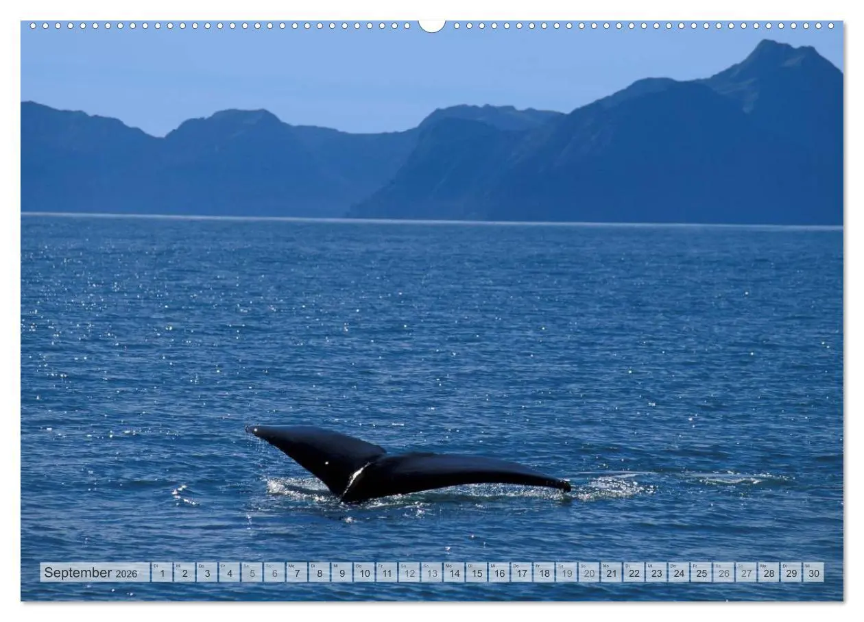 Bild: 9783516134452 | Wildes Alaska Christian Heeb (Wandkalender 2026 DIN A2 quer),...