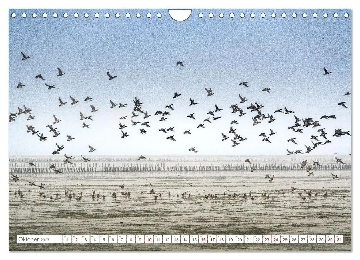 Bild: 9783569214552 | Naturerlebnis Rømø (Wandkalender 2027 DIN A4 quer), CALVENDO...