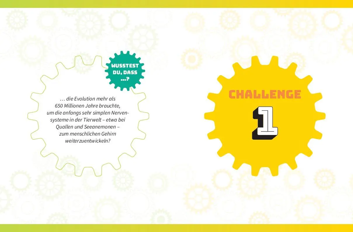 Bild: 9783625194552 | Die ultimative Rätsel-Challenge Gedächtnistraining | Taschenbuch